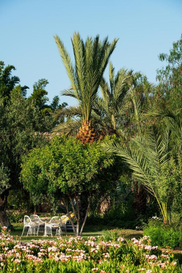 Terra Ababila Villa Marrakesh Luaran gambar