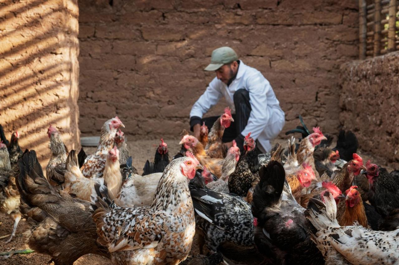 Terra Ababila Villa Marrakesh Luaran gambar